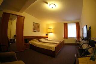 Отель Hotel Restauracja Witnica Witnica Классический двухместный номер с 2 отдельными кроватями-1